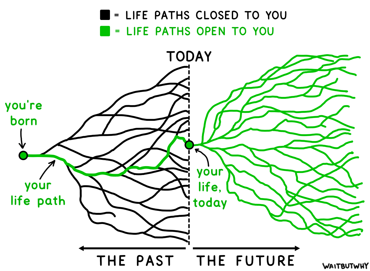 stochastic life