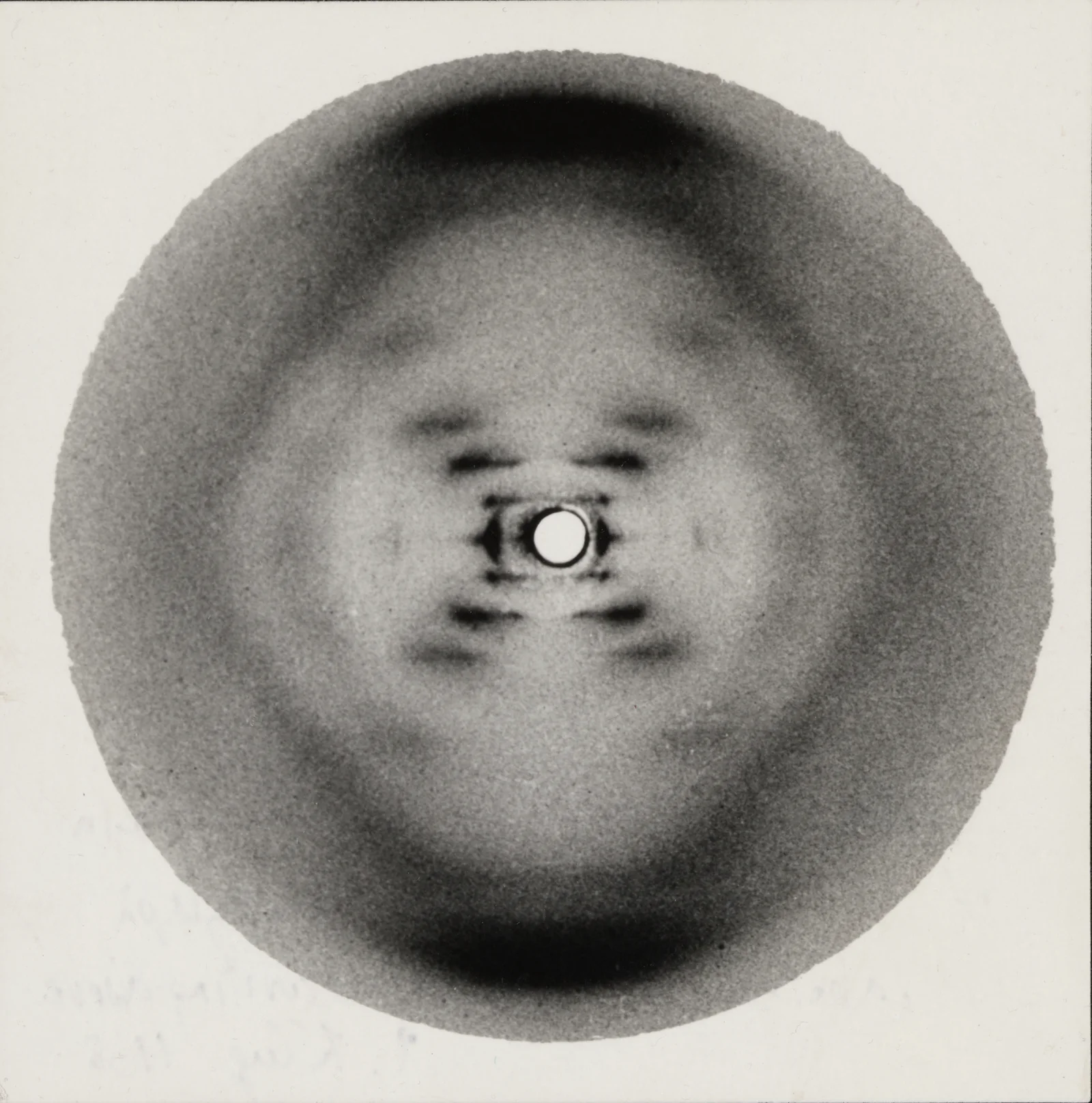 DNA의 나선 구조를 드러낸 X선 회절 이미지, Rosalind Franklin의 Photo 51, 1952년.